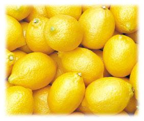 food-tt-fruit-20000105a01.jpg (28840 bytes)