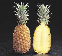food-tt-fruit-20000113b01.jpg (28981 bytes)