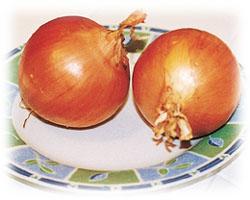food-tt-20000108b02.jpg (22427 bytes)