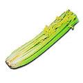 food-celery.jpg (10520 bytes)
