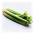 food-celery2.jpg (12043 bytes)