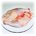 food-chicken-leg.jpg (13541 bytes)