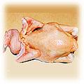food-chicken2.jpg (13728 bytes)