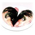 food-worm.jpg (7001 bytes)