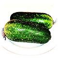 food-gourd-wax.jpg (15160 bytes)