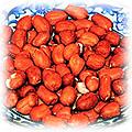 food-peanuts.jpg (23049 bytes)