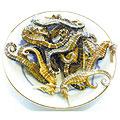 food-seahorse.jpg (7760 bytes)