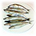 food-snappers.jpg (15584 bytes)